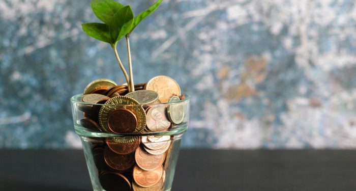 coins with tree growing